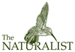 The Naturalist Logo